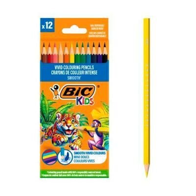 Bic Smooth Kuru Boya Kalemi 12 Renk