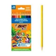 Bic Smooth Kuru Boya Kalemi 12 Renk