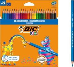 Bic Evolution Kuru Boya Kalemi 24`lü Kutu