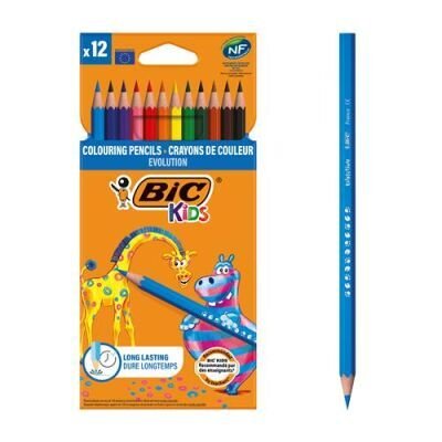 Bic Evolution Kuru Boya 12`li