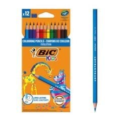 Bic Evolution Kuru Boya 12`li